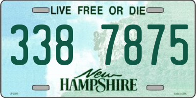NH license plate 3387875