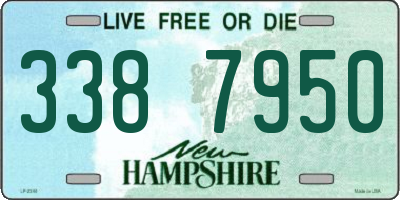 NH license plate 3387950