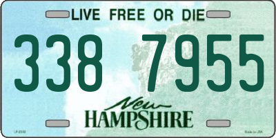 NH license plate 3387955