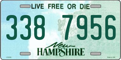 NH license plate 3387956