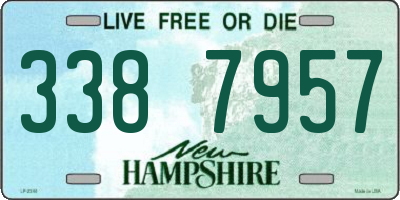 NH license plate 3387957