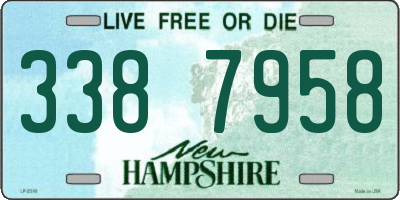 NH license plate 3387958