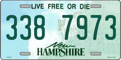 NH license plate 3387973