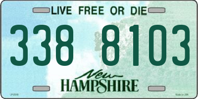 NH license plate 3388103