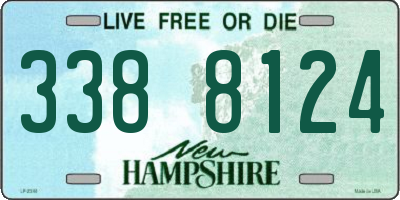NH license plate 3388124