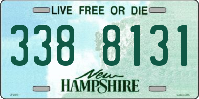 NH license plate 3388131