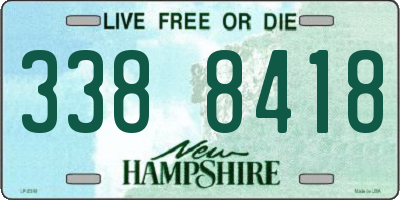 NH license plate 3388418