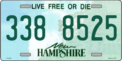 NH license plate 3388525