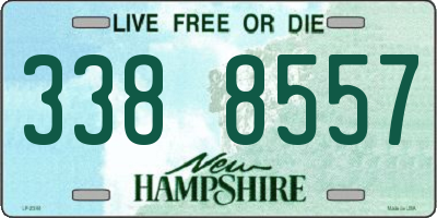 NH license plate 3388557