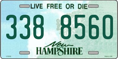 NH license plate 3388560