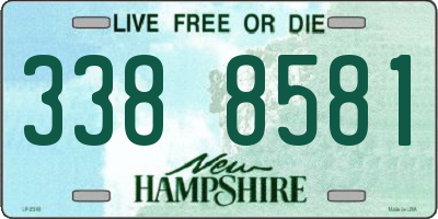 NH license plate 3388581