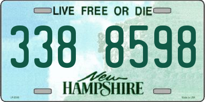 NH license plate 3388598