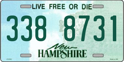 NH license plate 3388731