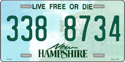NH license plate 3388734