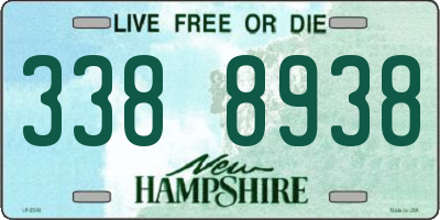 NH license plate 3388938