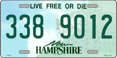 NH license plate 3389012