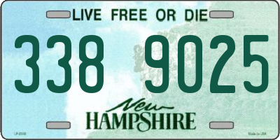 NH license plate 3389025