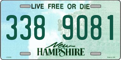 NH license plate 3389081