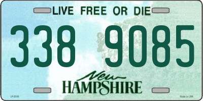NH license plate 3389085