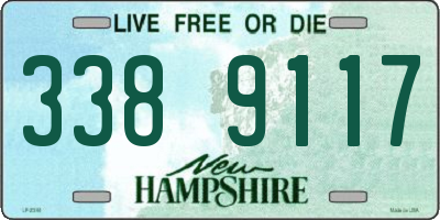 NH license plate 3389117