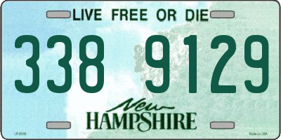 NH license plate 3389129