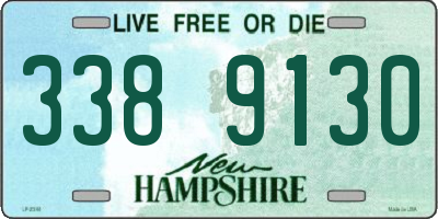 NH license plate 3389130