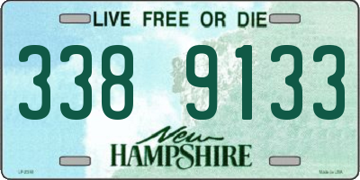 NH license plate 3389133