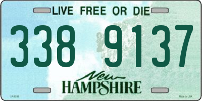 NH license plate 3389137