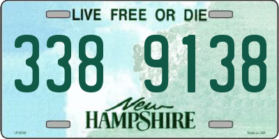 NH license plate 3389138