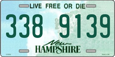 NH license plate 3389139