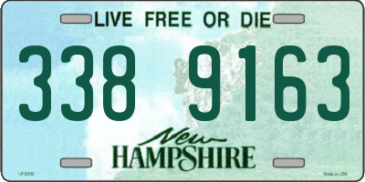 NH license plate 3389163