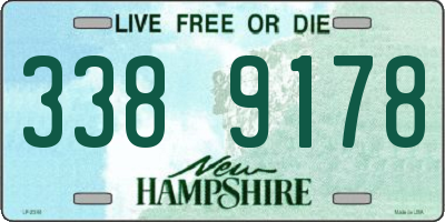 NH license plate 3389178