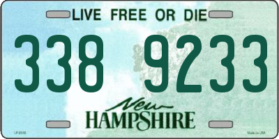 NH license plate 3389233
