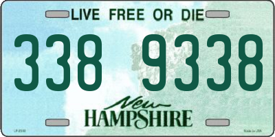 NH license plate 3389338