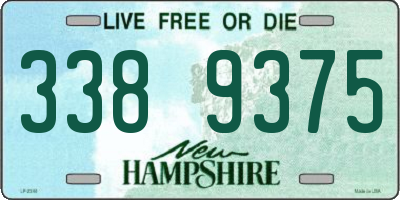 NH license plate 3389375