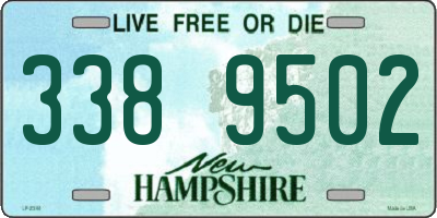 NH license plate 3389502