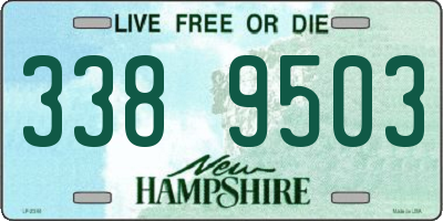 NH license plate 3389503