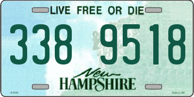 NH license plate 3389518