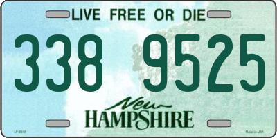 NH license plate 3389525