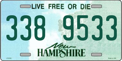NH license plate 3389533