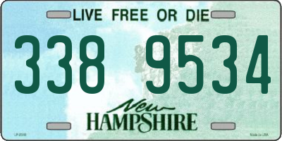 NH license plate 3389534