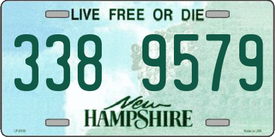 NH license plate 3389579