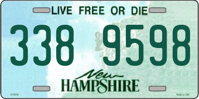 NH license plate 3389598
