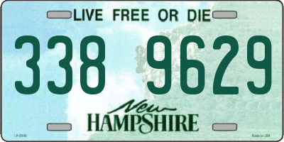 NH license plate 3389629