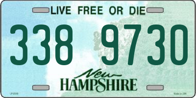 NH license plate 3389730