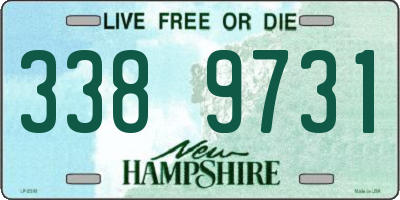 NH license plate 3389731