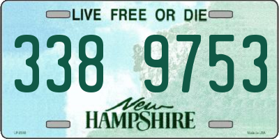 NH license plate 3389753