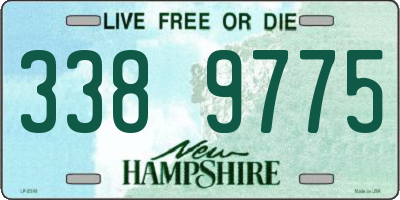 NH license plate 3389775