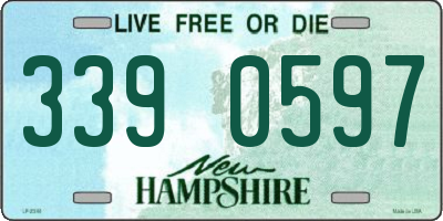 NH license plate 3390597