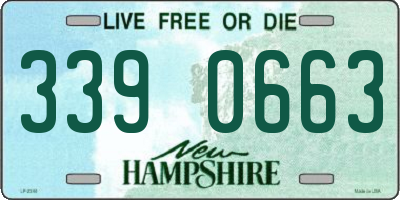 NH license plate 3390663